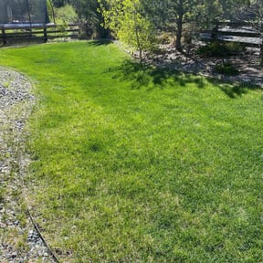 landscape maintenance by Garfield Lawn Care reviewed on November 24, 2025