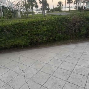 Bush Trimming by Aguilar Landscaping  reviewed on November 22, 2025