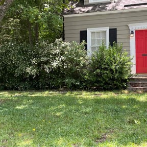Bush Trimming by Scarlet and gray Lawn Care Management LLC reviewed on August 20, 2025