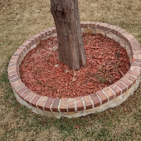 Leaf Removal by Rfmg Earth Care reviewed on September 19, 2025