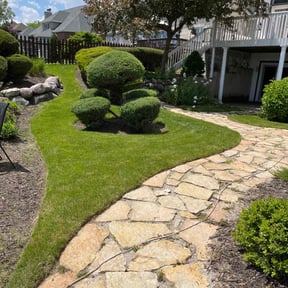 yard maintenance by Little service's LLC reviewed on December 30, 2025