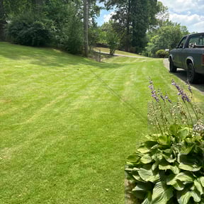 yard care by IPR LLC reviewed on August 15, 2025