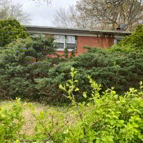 Bush Trimming by Torres Lawn Care reviewed on August 21, 2025