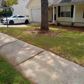 Leaf Removal by Collins Lawncare Service reviewed on September 28, 2025