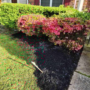 Mulching by Rosa Lawn & Tree reviewed on August 14, 2025