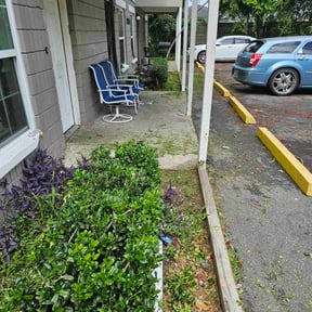 Bush Trimming by Jay-Lyns LLC reviewed on November 9, 2025