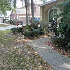 Bush Trimming by D.A.D.'s Lawn Services reviewed on November 9, 2017