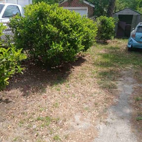 Bush Trimming by Titan Apex, LLC reviewed on April 22, 2026