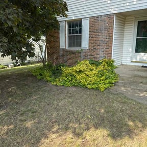 Bush Trimming by Brooks lawn care services reviewed on August 16, 2025