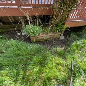 Leaf Removal by Bros Lawn service reviewed on July 22, 2026