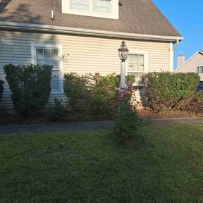 Bush Trimming by Leigh Outdoor Services LLC reviewed on October 21, 2025