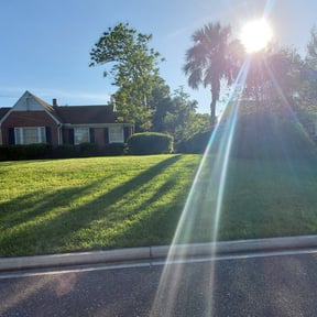 Bush Trimming by Tovar Landscaping reviewed on August 19, 2025