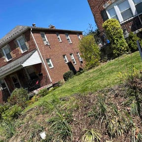 Bush Trimming by Stay Sharpe Services reviewed on April 14, 2026