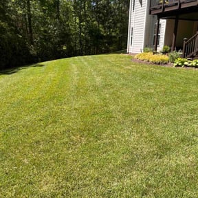 residential landscaping by Soleil Lawn Care reviewed on August 16, 2025