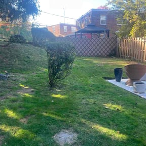 Bush Trimming by Premium Design Landscaping Inc reviewed on November 24, 2025