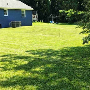 grass cutting by Beautiful Home Services reviewed on July 28, 2022