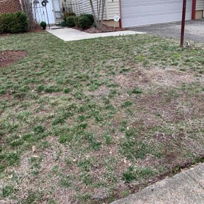 Leaf Removal by TNA Home Services reviewed on September 30, 2025