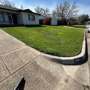 landscaping services by B.mendoza lanscaping reviewed on June 22, 2025