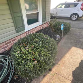 Bush Trimming by Earls Lawn Care reviewed on April 17, 2026