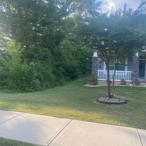 landscaping services by Zenon'S lawn care and junk  removal reviewed on April 10, 2025