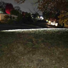 Leaf Removal by Green Leaf Lawn Service reviewed on November 9, 2025