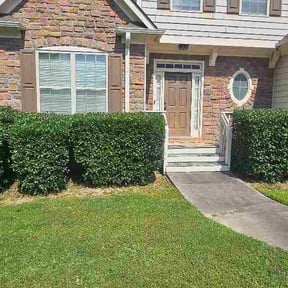 Bush Trimming by Wick's Handy Solutions reviewed on September 1, 2026