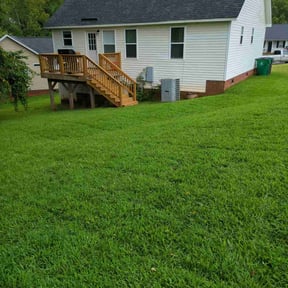 yard service by Cross County Lawn and Landscape reviewed on August 15, 2025