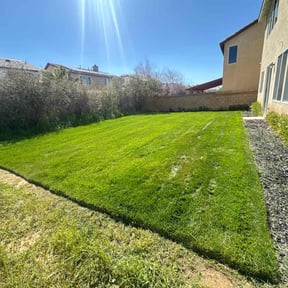 yard care by Olivares Gardening reviewed on August 17, 2025