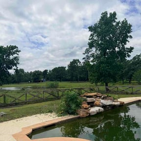 Bush Trimming by Rockmon landscape care reviewed on June 8, 2026