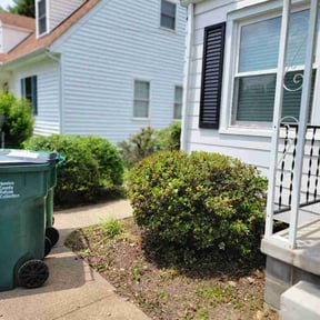 Bush Trimming by Salvus Lawncare reviewed on June 16, 2026