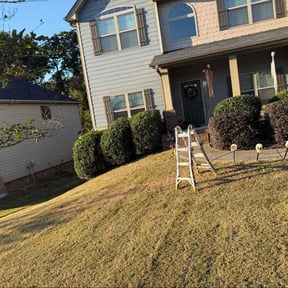 Bush Trimming by P&amp;H lawn service reviewed on November 27, 2025