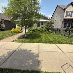 yard maintenance by Blessings Lawn Care Services reviewed on August 19, 2025
