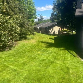 yard maintenance by Toacc llc reviewed on November 23, 2025