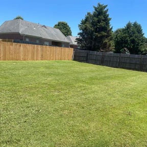 landscaping services by Best of the best lawn and landscape design reviewed on November 21, 2025