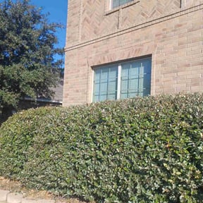 Bush Trimming by On Point Lawn Care reviewed on November 20, 2025