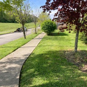 lawn maintenance by Saul Flores Landscaping reviewed on March 12, 2024