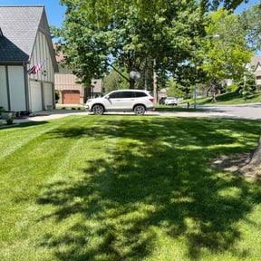 gardening service by 911 Elite Landscaping reviewed on January 1, 2026