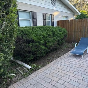 Bush Trimming by Yardcraft Solutions reviewed on November 21, 2025