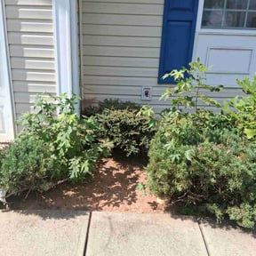 Flower Bed Weeding by DMX Lawn &amp; Landscape reviewed on October 22, 2025