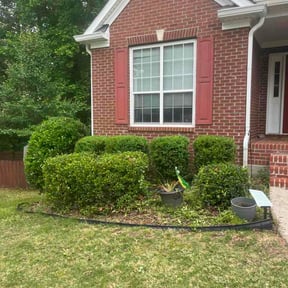 Bush Trimming by MowBros reviewed on May 10, 2026