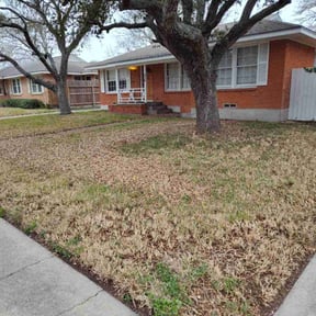 Leaf Removal by The REEF: Lawn, Garden, Pets, &amp; Pools reviewed on September 10, 2025