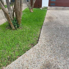 yard maintenance by Evergreen Lawn Care reviewed on August 18, 2025