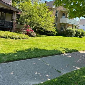 lawn maintenance by A&amp;Js Landscaping and Design LLC reviewed on August 29, 2024