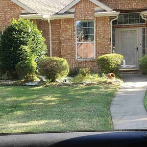 Bush Trimming by Hurricane effects reviewed on November 23, 2025