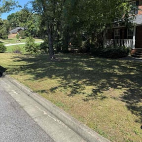 Leaf Removal by Green Love reviewed on September 18, 2025