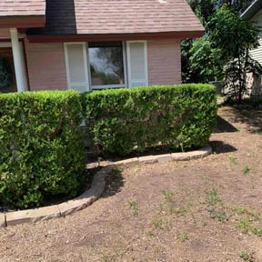 Bush Trimming by Otto Property Preservation reviewed on August 18, 2025