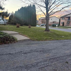 Leaf Removal by Steele Clean reviewed on December 2, 2025