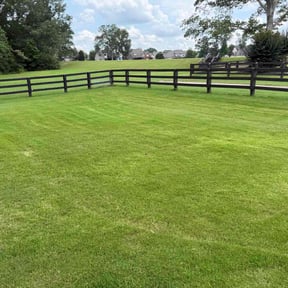 lawn service by Lawn Time No See LLC reviewed on August 17, 2025