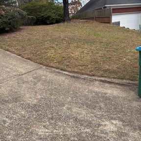 Leaf Removal by Lawn &amp; Order reviewed on November 18, 2025