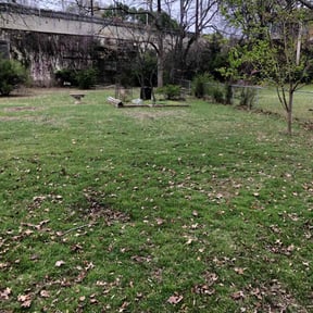 Leaf Removal by Tracy Norman’s Lawn Services reviewed on September 24, 2025